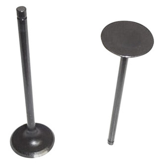 DNJ Engine Components® - Engine Valve