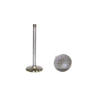 DNJ Engine Components® - Intake Valve