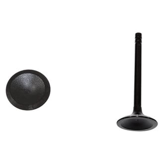 DNJ Engine Components® - Intake Valve