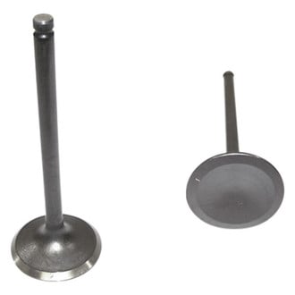 DNJ Engine Components® - Intake Valve