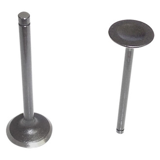 DNJ Engine Components® - Intake Valve