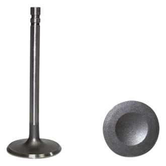 DNJ Engine Components® - Intake Valve