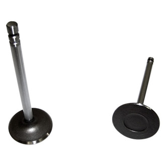 DNJ Engine Components® - Intake Valve