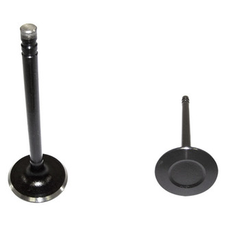 DNJ Engine Components® - Intake Valve