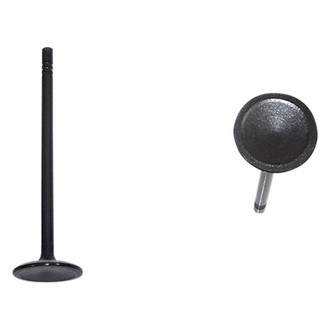 DNJ Engine Components® - Intake Valve