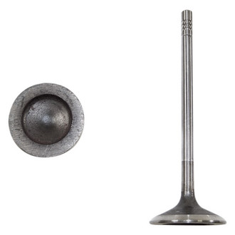 DNJ Engine Components® - Intake Valve