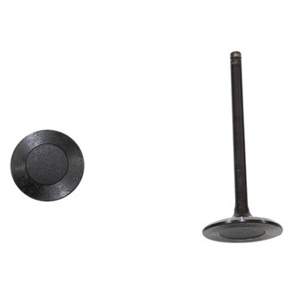 DNJ Engine Components® - Intake Valve