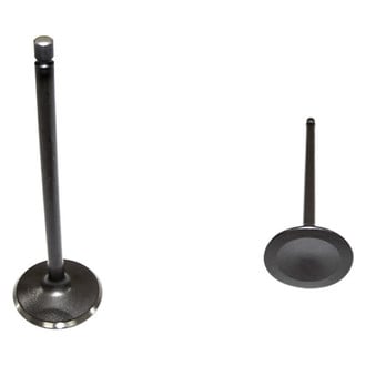 DNJ Engine Components® - Intake Valve
