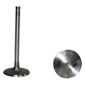 DNJ Engine Components® - Intake Valve