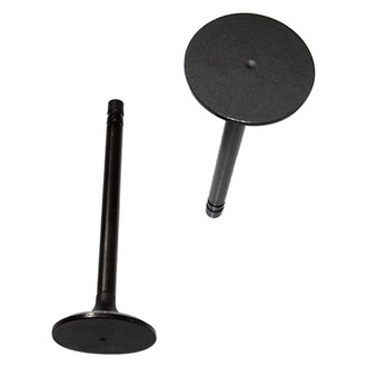 DNJ Engine Components® - Intake Valve