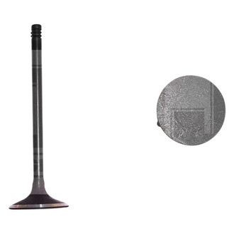 DNJ Engine Components® - Intake Valve