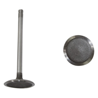 DNJ Engine Components® - Intake Valve