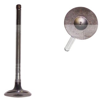 DNJ Engine Components® - Intake Valve
