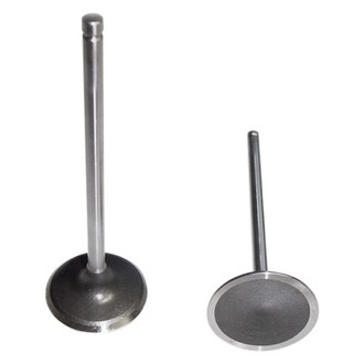 DNJ Engine Components® - Intake Valve