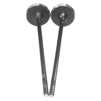 DNJ Engine Components® - Intake Valve