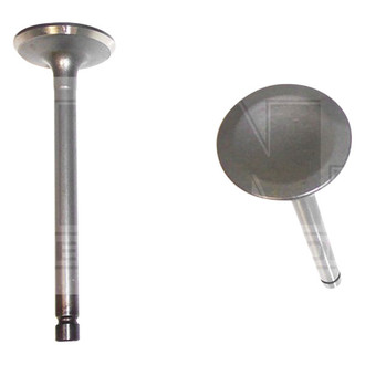 DNJ Engine Components® - Intake Valve