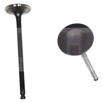 DNJ Engine Components® - Intake Valve