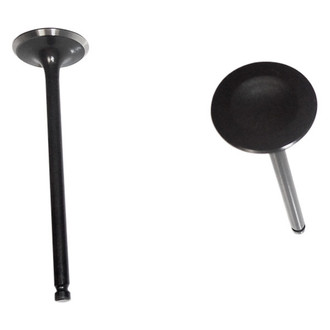 DNJ Engine Components® - Intake Valve