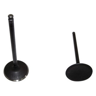 DNJ Engine Components® - Intake Valve
