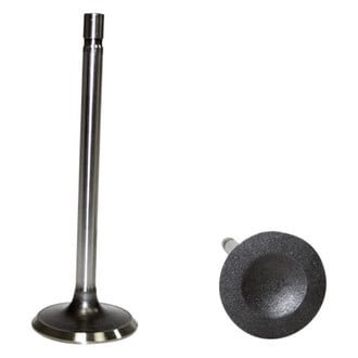 DNJ Engine Components® - Intake Valve