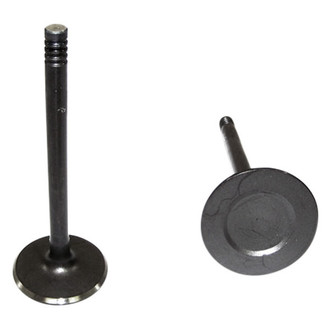 DNJ Engine Components® - Intake Valve