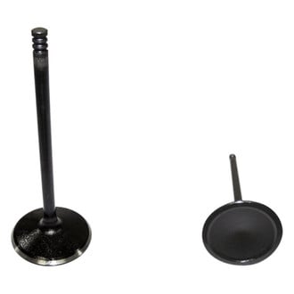 DNJ Engine Components® - Intake Valve