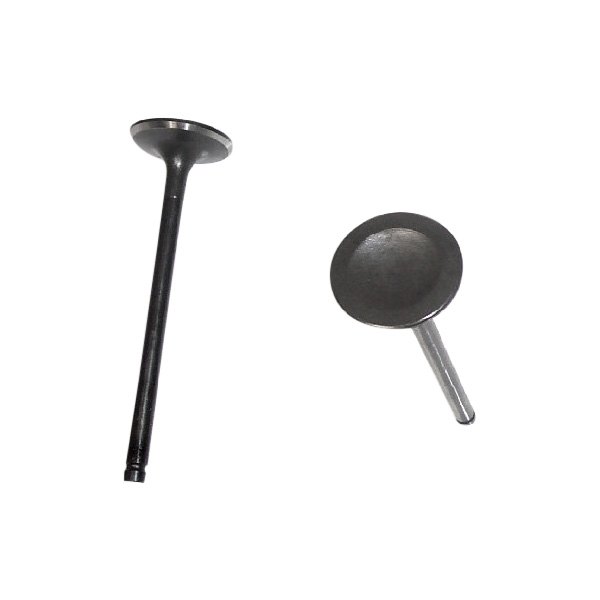 DNJ Engine Components® - Engine Intake Valve