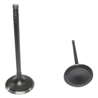 DNJ Engine Components® - Intake Valve
