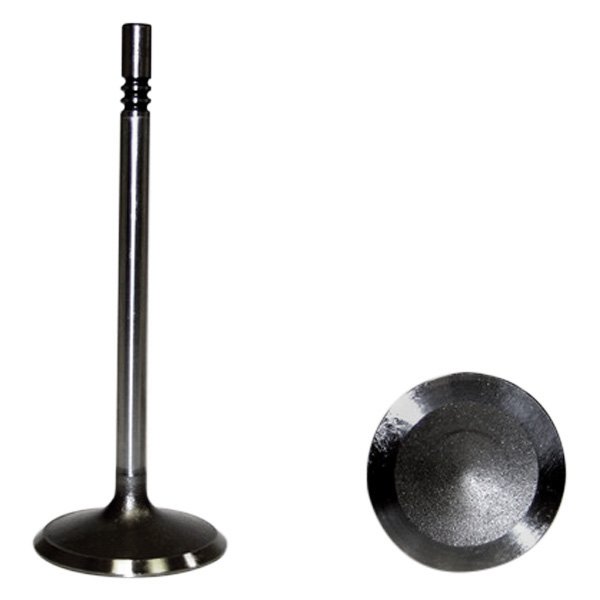 DNJ Engine Components® - Engine Intake Valve