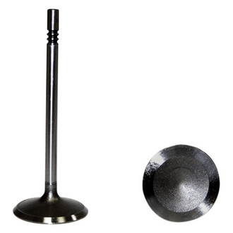 DNJ Engine Components® - Intake Valve
