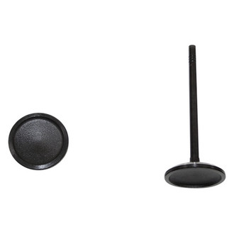 DNJ Engine Components® - Intake Valve