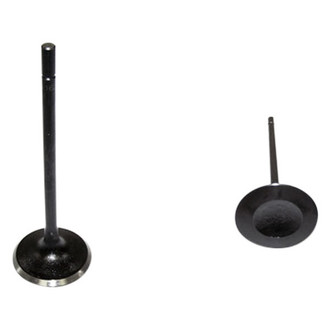 DNJ Engine Components® - Intake Valve