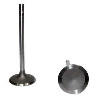 DNJ Engine Components® - Intake Valve
