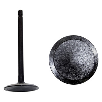 DNJ Engine Components® - Intake Valve