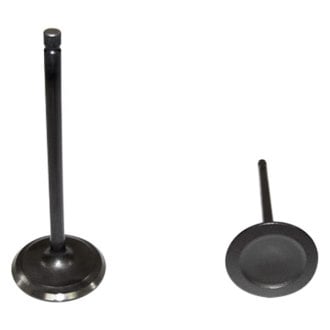 DNJ Engine Components® - Engine Valve