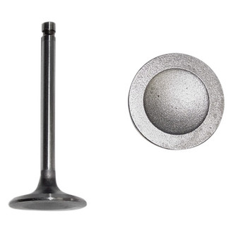 DNJ Engine Components® - Intake Valve