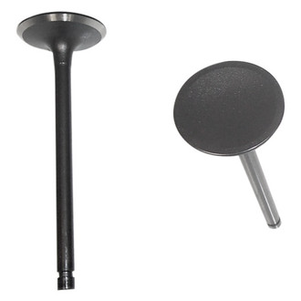 DNJ Engine Components® - Intake Valve