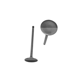 DNJ Engine Components® - Intake Valve