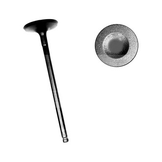 DNJ Engine Components® - Intake Valve
