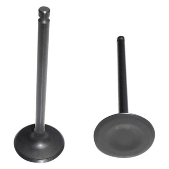 DNJ Engine Components® - Intake Valve