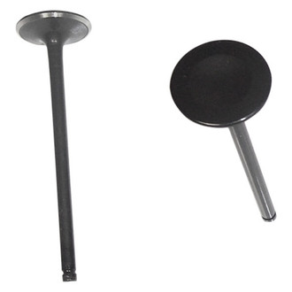 DNJ Engine Components® - Intake Valve