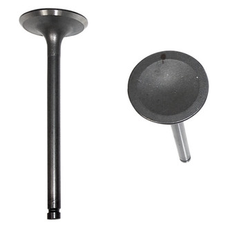 DNJ Engine Components® - Intake Valve