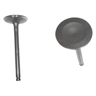 DNJ Engine Components® - Intake Valve