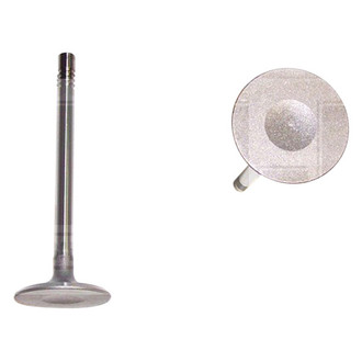 DNJ Engine Components® - Intake Valve