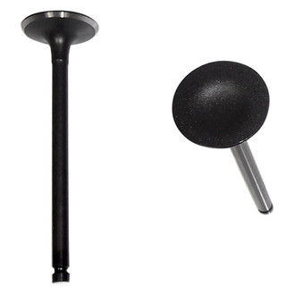 DNJ Engine Components® - Intake Valve