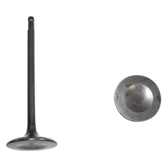 DNJ Engine Components® - Intake Valve