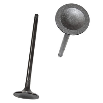 DNJ Engine Components® - Intake Valve