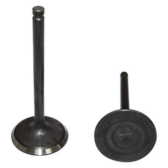 DNJ Engine Components® - Intake Valve