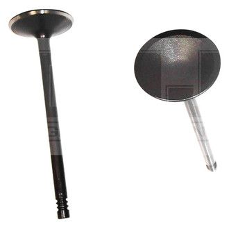 DNJ Engine Components® - Intake Valve