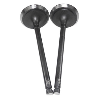 DNJ Engine Components® - Intake Valve